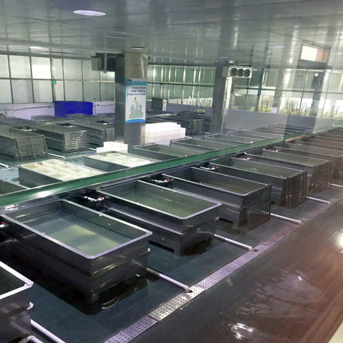 青島高恩機(jī)械 泡菜食品機(jī)械行業(yè)的專業(yè)制造者