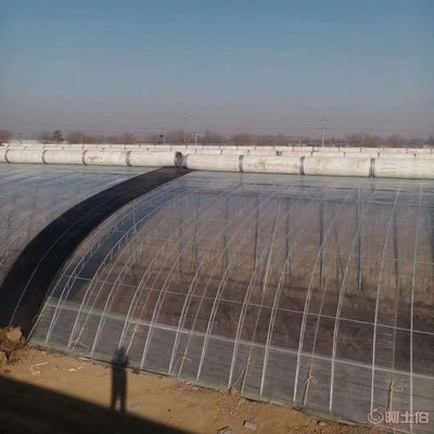 溫室大棚薄膜 選擇與維護(hù)的最佳指南