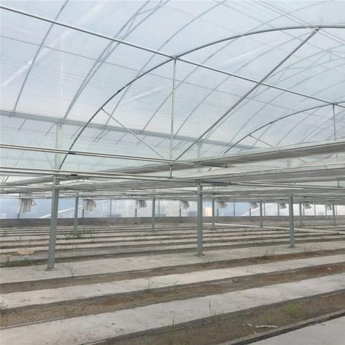 連棟薄膜溫室大棚建造 大棚薄膜選擇與應(yīng)用指南