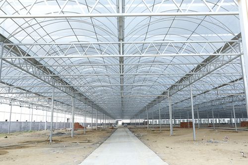連棟薄膜溫室 現(xiàn)代高效農(nóng)業(yè)建設(shè)選擇