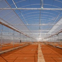 薄膜連棟溫室大棚工程建設(shè)與薄膜選擇指南