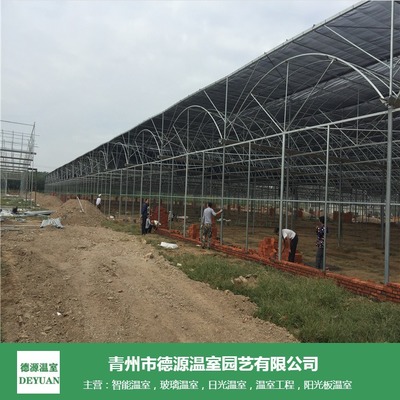 薄膜連棟溫室 花卉與蔬菜種植的經(jīng)濟選擇與造價解析