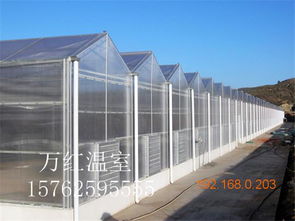 溫室大棚選購指南 薄膜、玻璃與生態玻璃溫室的對比與推薦