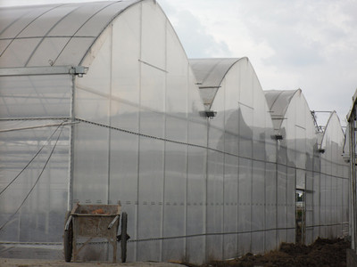 【限時大折扣】解析上海普拉斯克PEP利得膜 高品質大棚薄膜配件如何賦能現代溫室工程